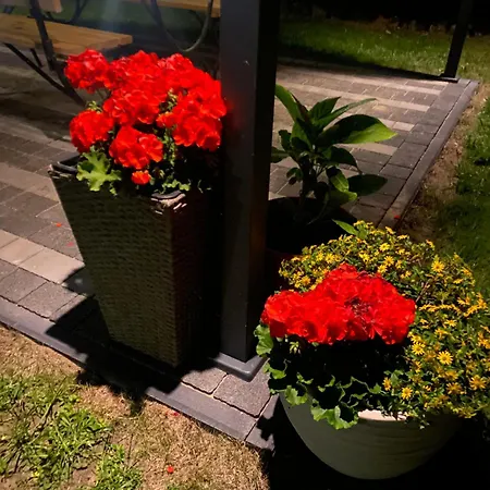 Sloneczny Zakatek ゲストハウス